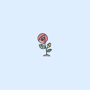 Rose 1