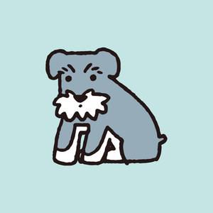 Schnauzer