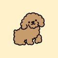 Caniche