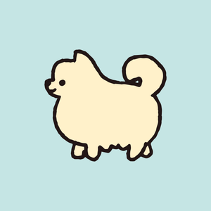 Pomeranian